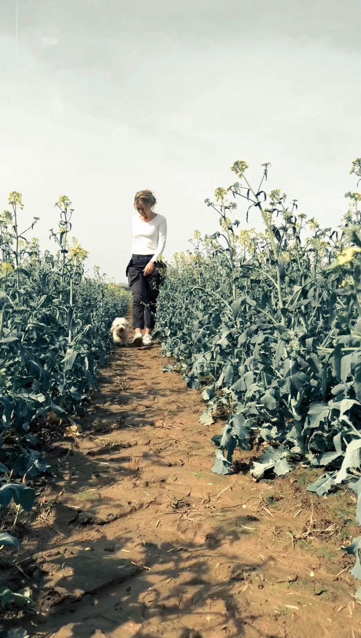 Frau spaziert mit kleinem Hund durch ein Feld voller bunter Blumen.